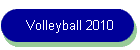 Volleyball 2010